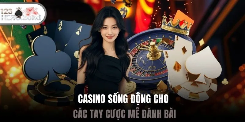 Casino sống động cho các tay cược mê đánh bài